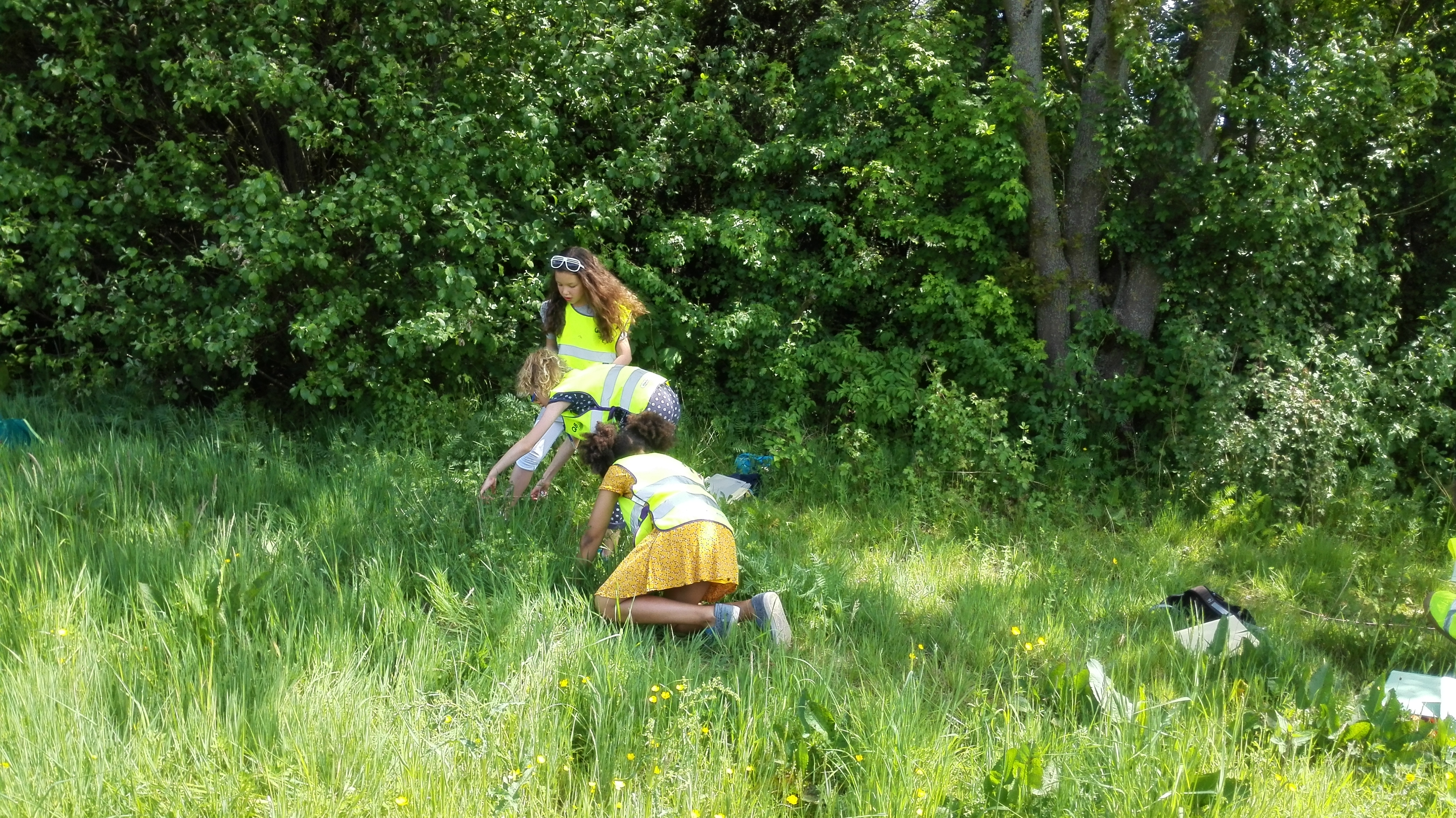 Het vierde leerjaar op onderzoek in de berm!